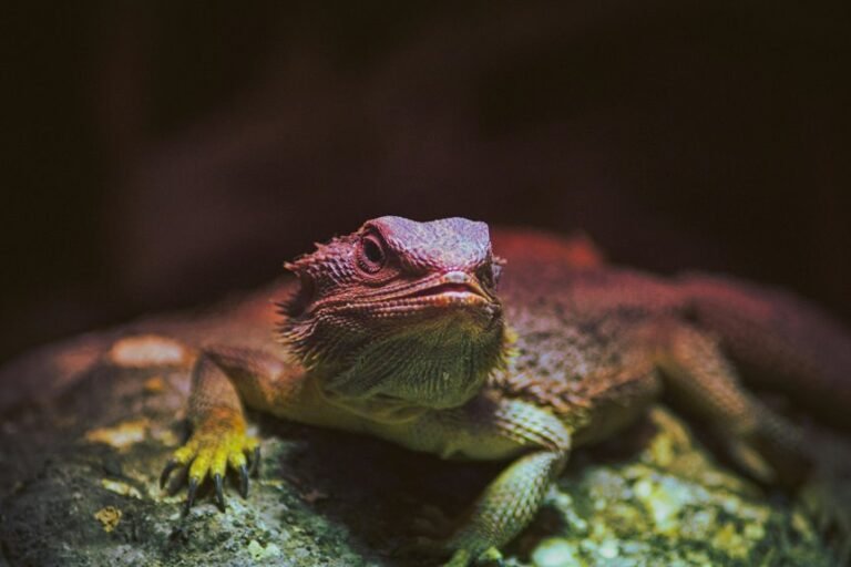 identifier behavior analysis metrics